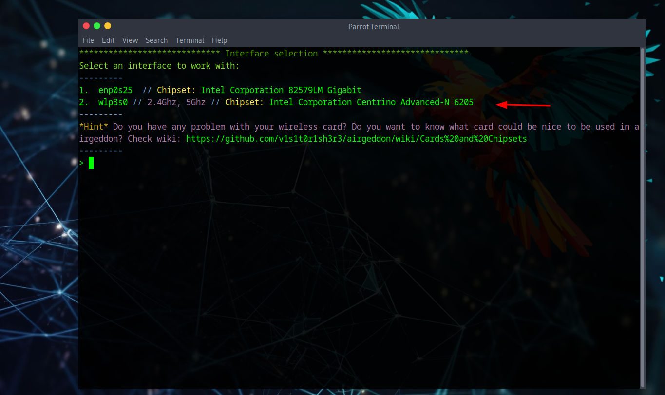 Network Interface Selection