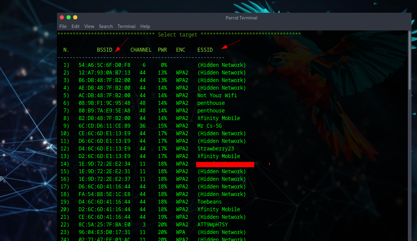 Network List