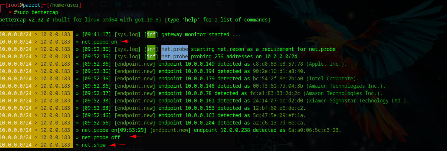 Network Probing